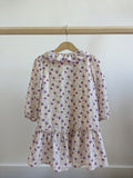 Zara Long Sleeve Chiffon Dress (2-3T)