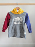 Roots Hooded Sweatshirt (3T)